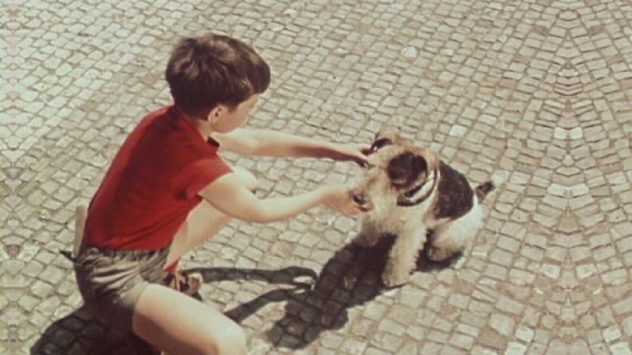 Punta and the Four-Leaf Clover backdrop