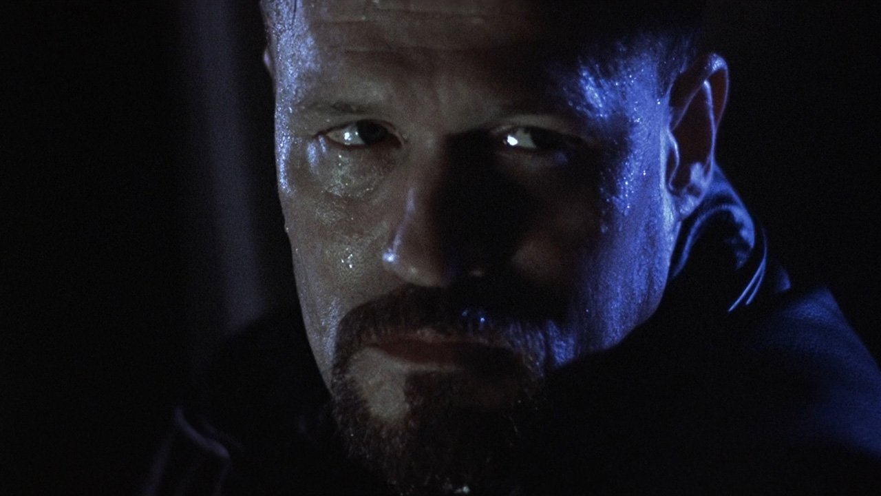 Shadow Builder backdrop