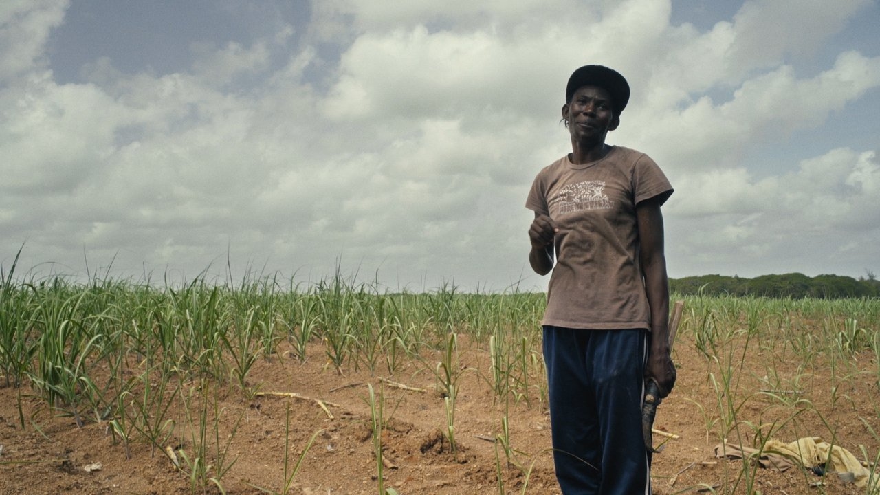 Sugar Cane Malice backdrop