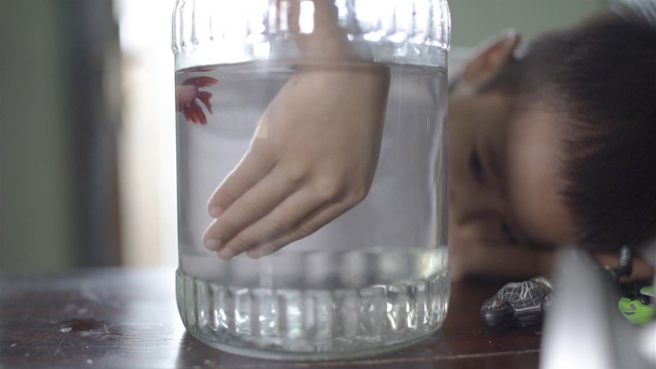 The Dust of Hope backdrop