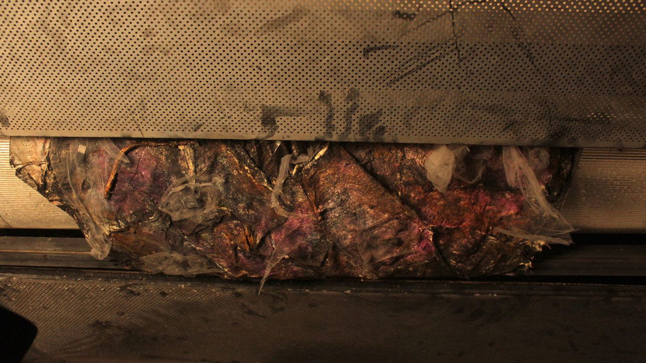 receptáculo backdrop