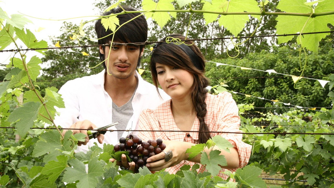 Wayupak Montra backdrop