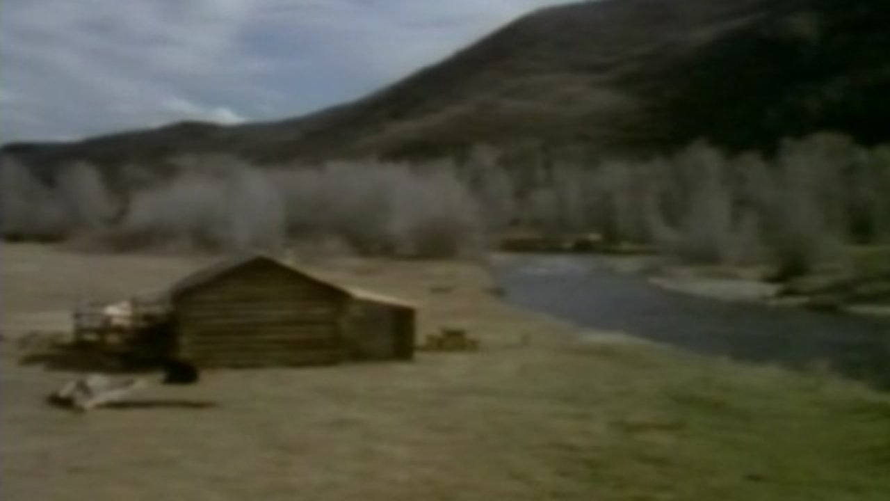 In Search of a Golden Sky backdrop