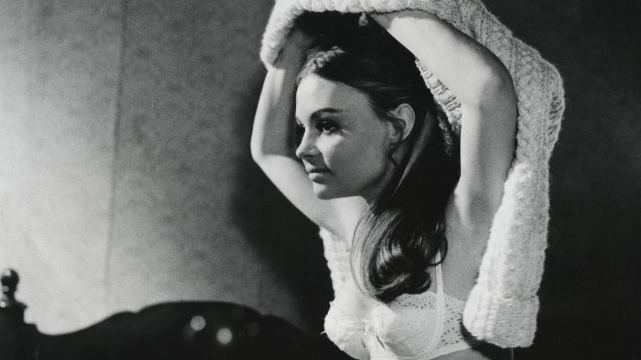 The Dreamers backdrop