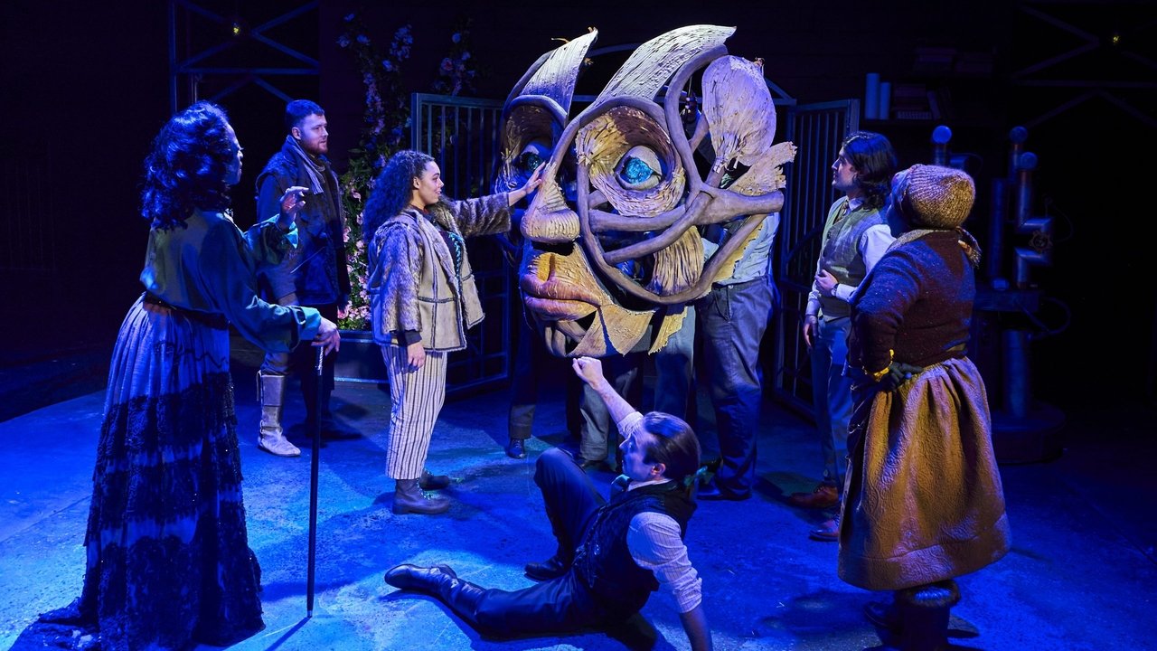 The Sorcerer's Apprentice backdrop