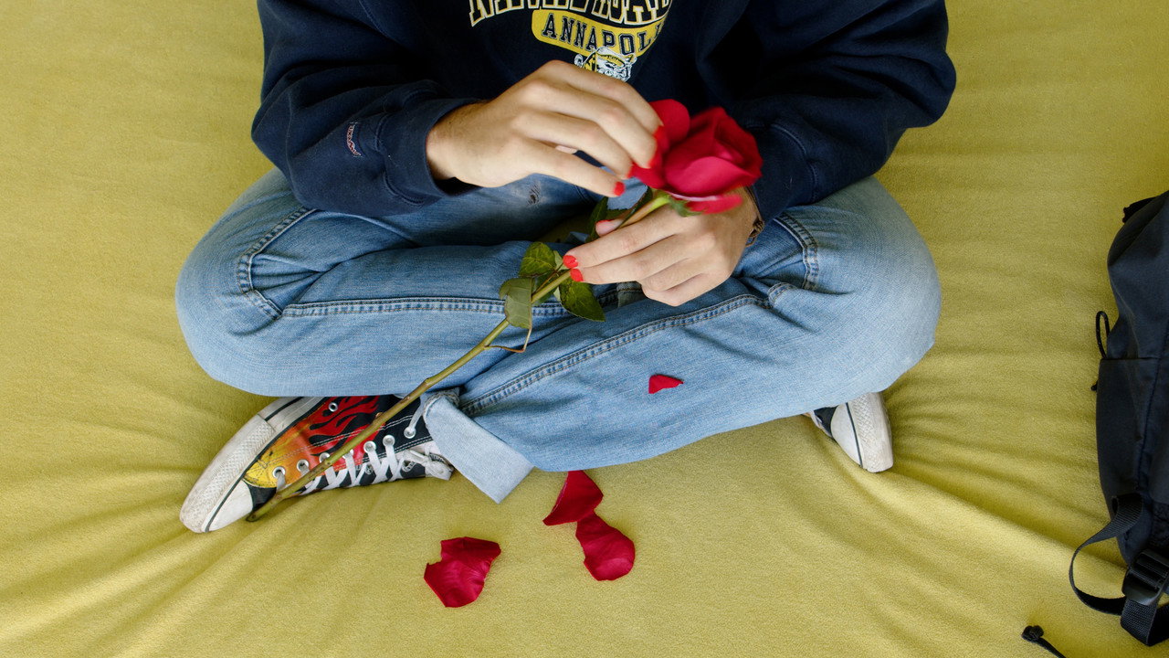 He Loves Me, He Loves Me Not backdrop