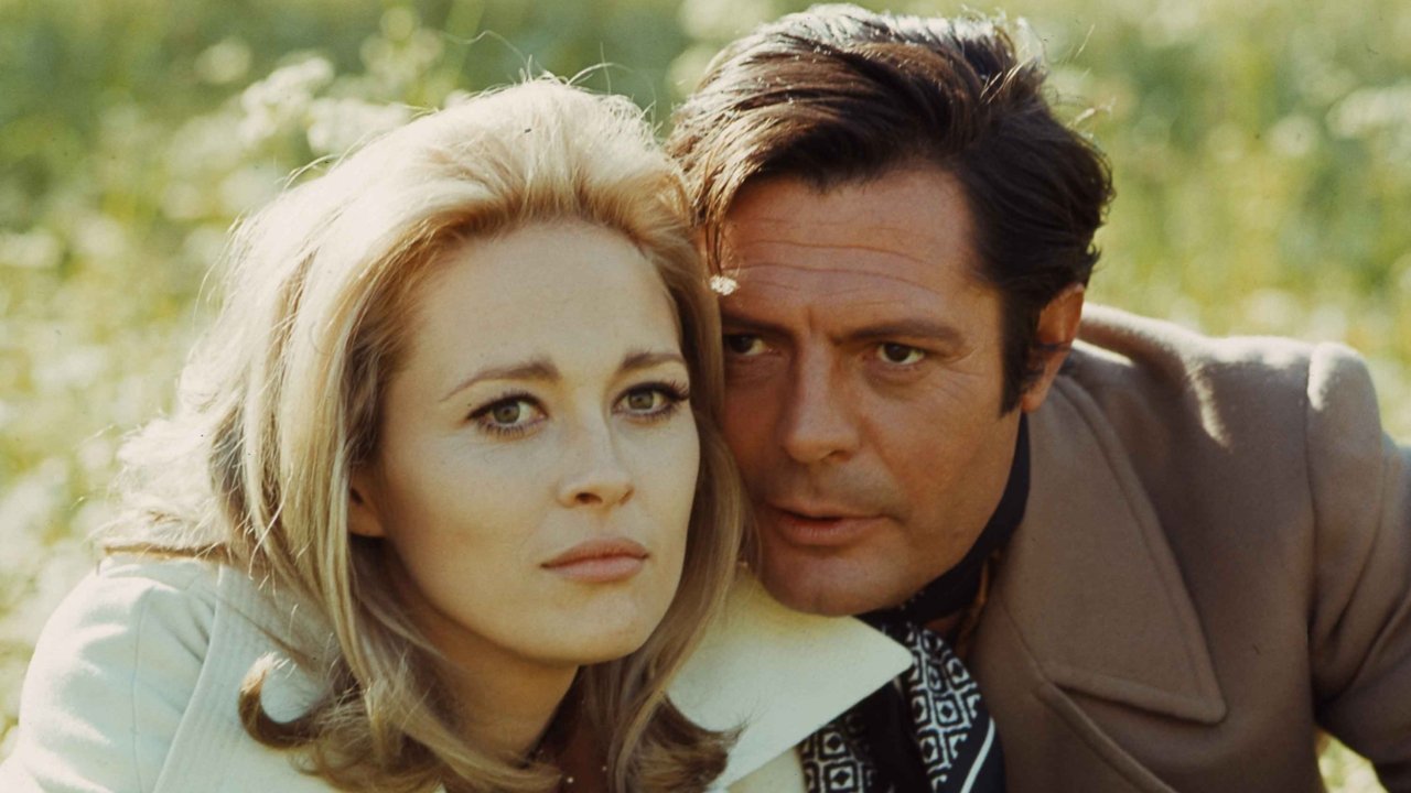 A Place for Lovers backdrop