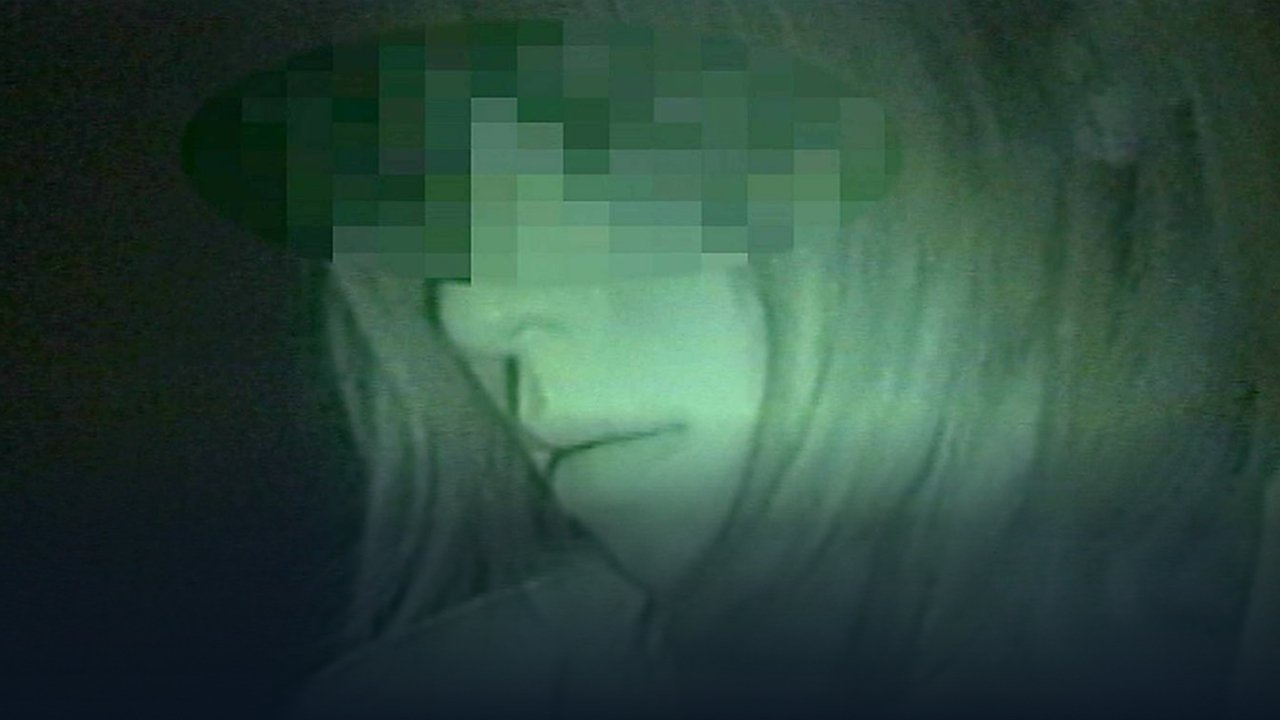 Sealed Video: Cursed Forest backdrop