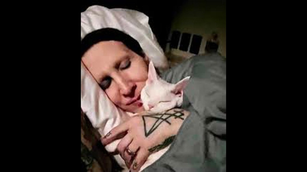 Das Foto-Shoot backdrop