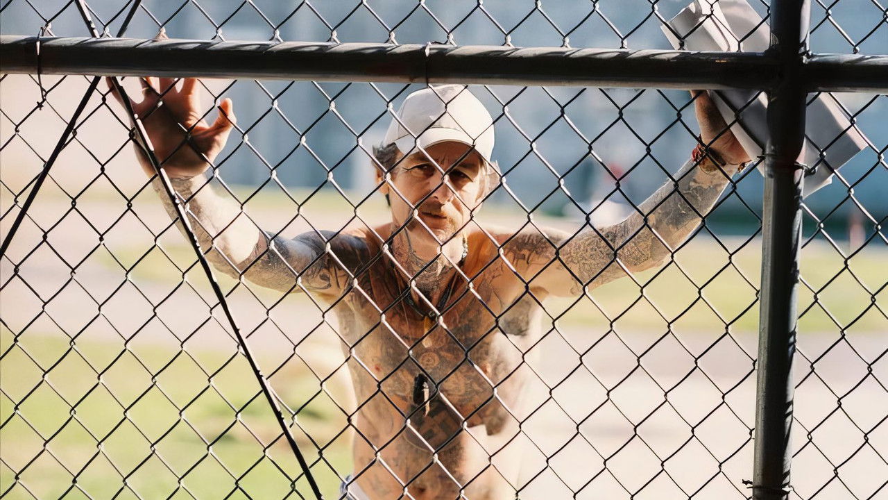 At Night I Fly backdrop