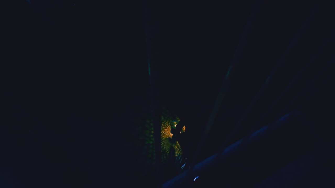 shadows scare me backdrop