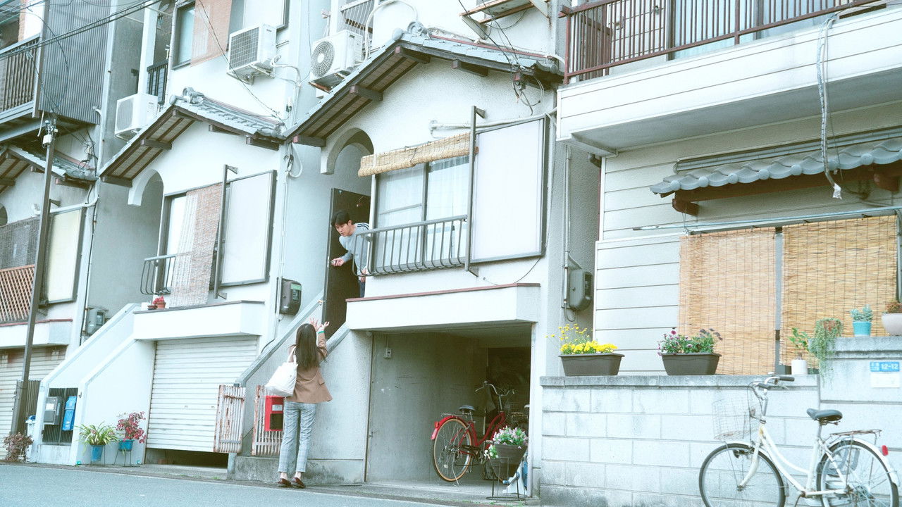 Petals and Memories backdrop