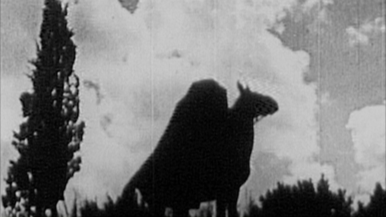 The Headless Horseman backdrop