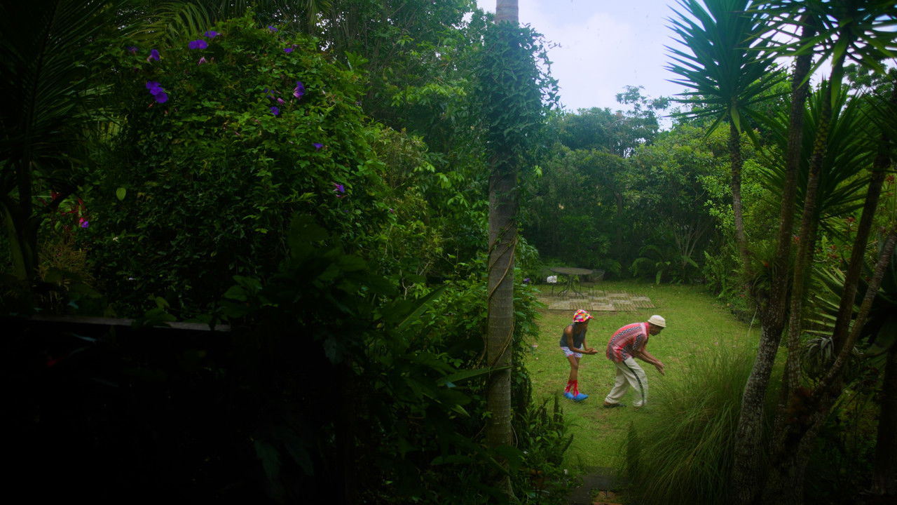 The Truth about Alvert, the Last Dodo backdrop