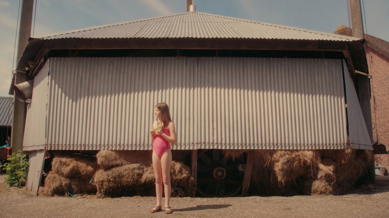 Two Croissants backdrop