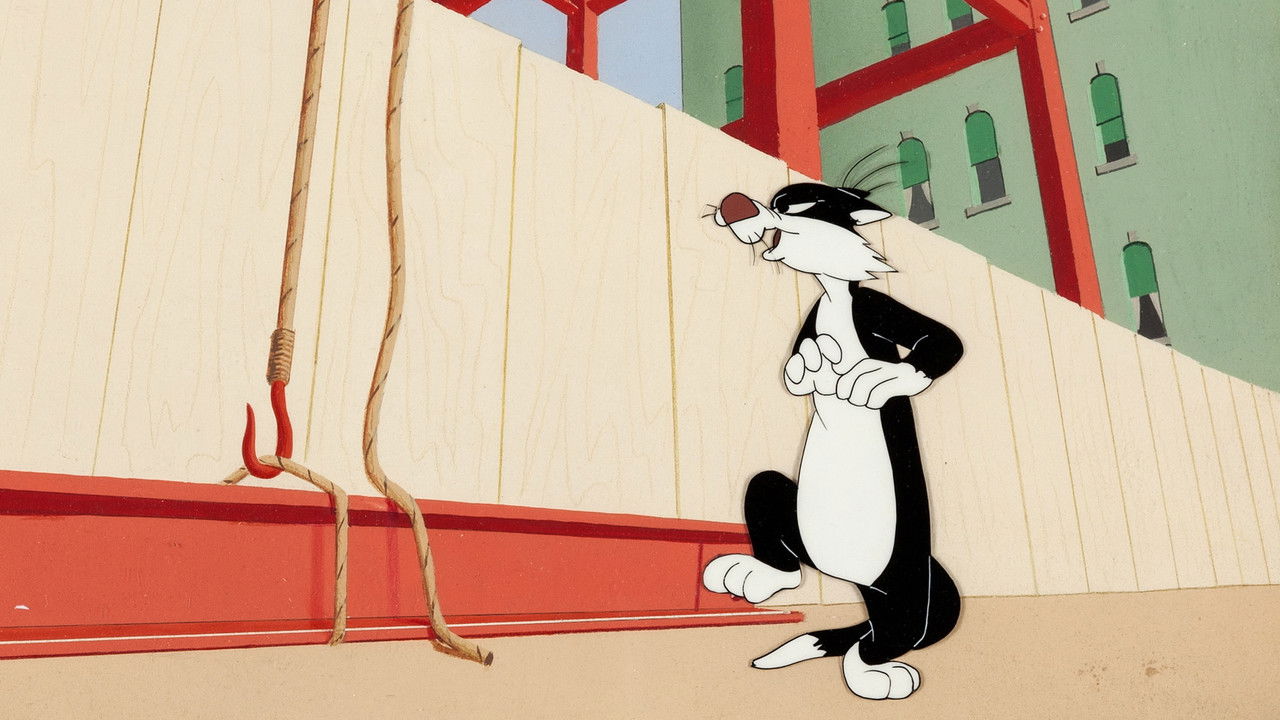 Catty Cornered backdrop