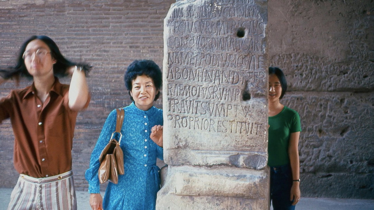 Wisdom Gone Wild backdrop