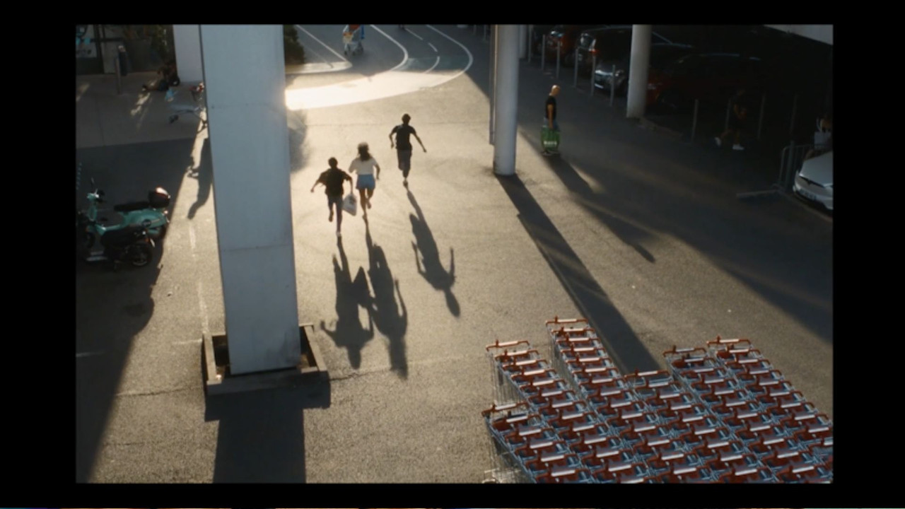 La nostalgie des dodos backdrop