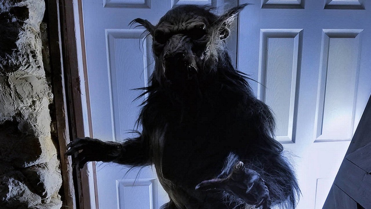 Bonehill Road backdrop