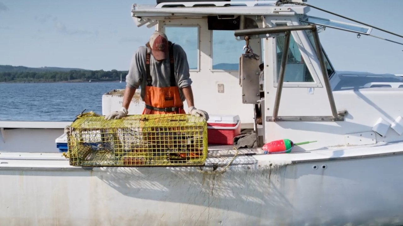 The Ghost Trap backdrop