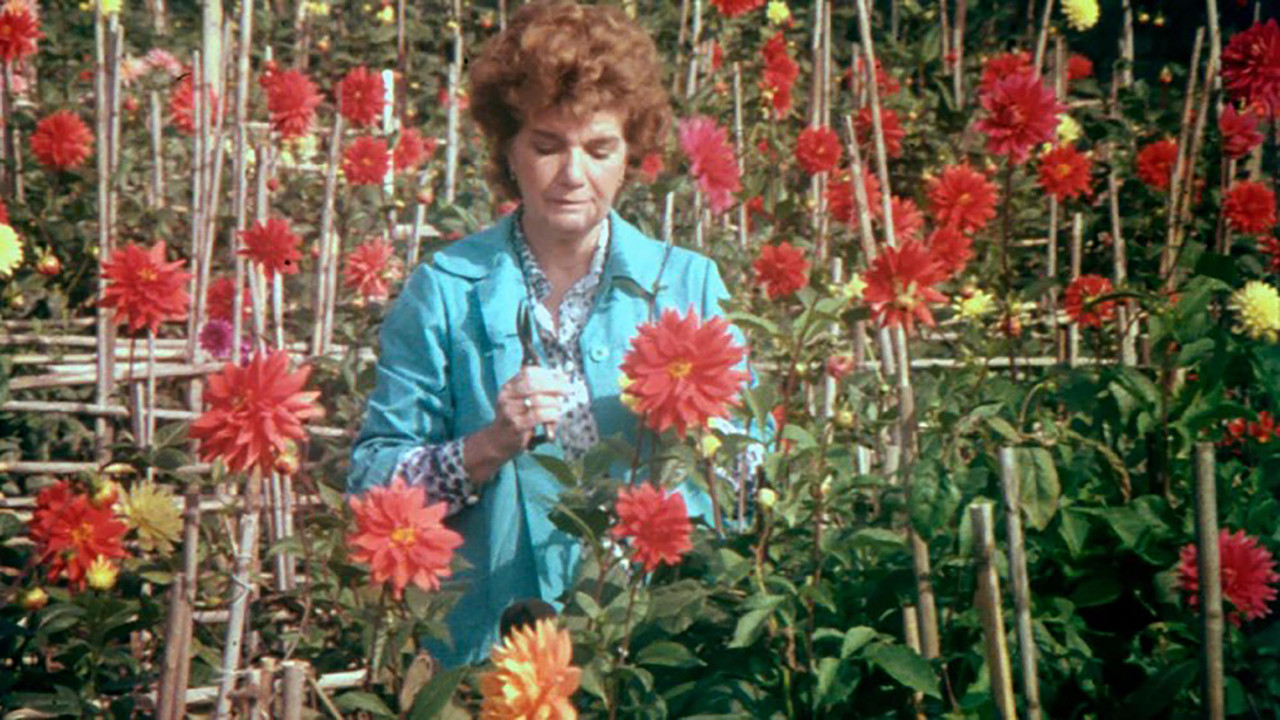 Visit, or Memories and Confessions backdrop