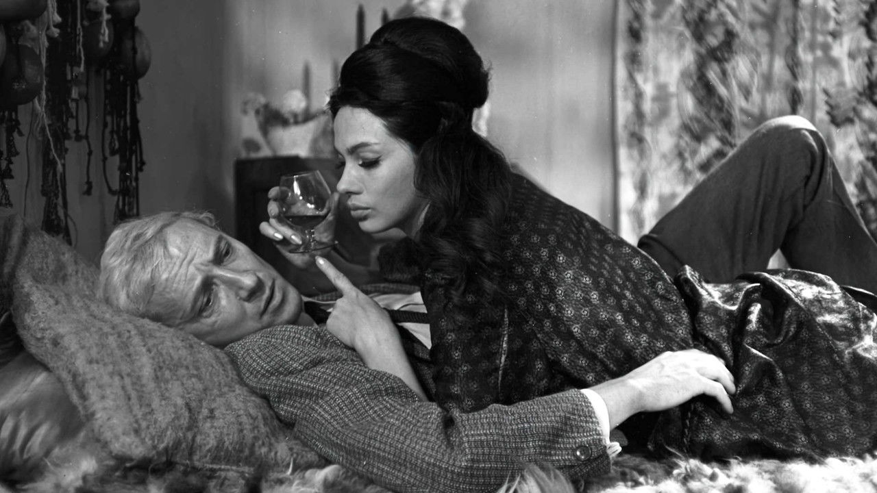 Christmas Eve backdrop