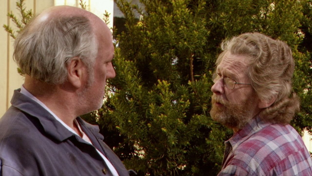 Long Flat Balls II backdrop