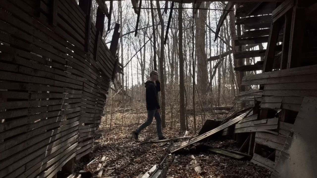 Beneath the Canopy backdrop