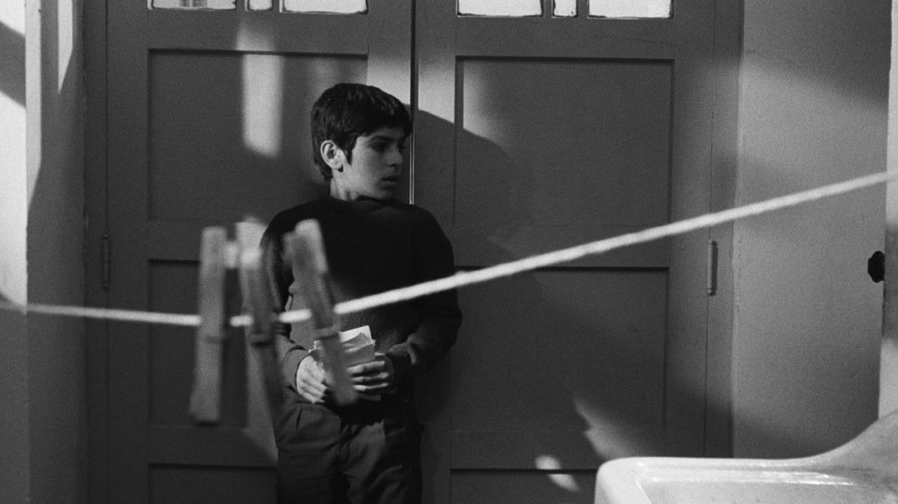 The Experience backdrop