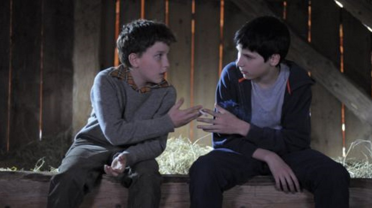 Duck Hunting backdrop