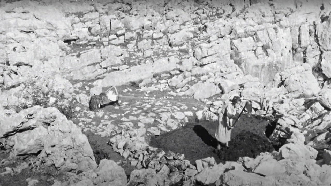 Prisoners of Stones backdrop