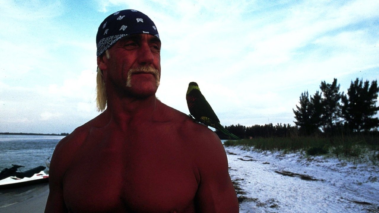 McCinsey's Island backdrop