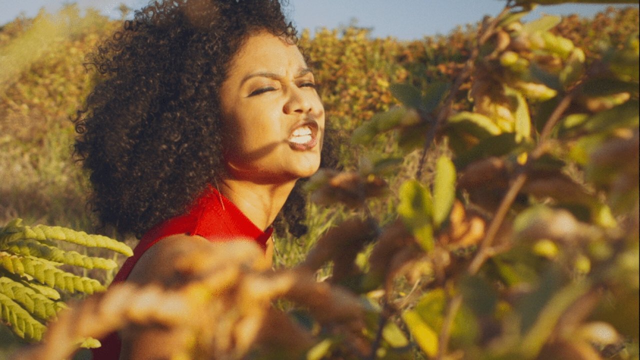 Grace & Saleem backdrop