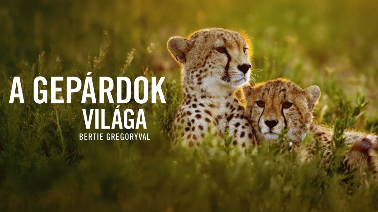 Cheetahs Up Close with Bertie Gregory backdrop