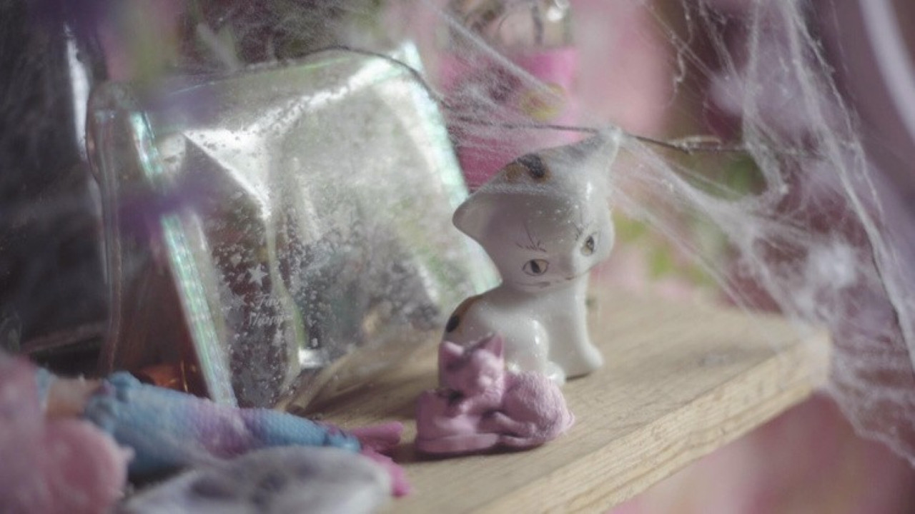 Girl in the Shed backdrop