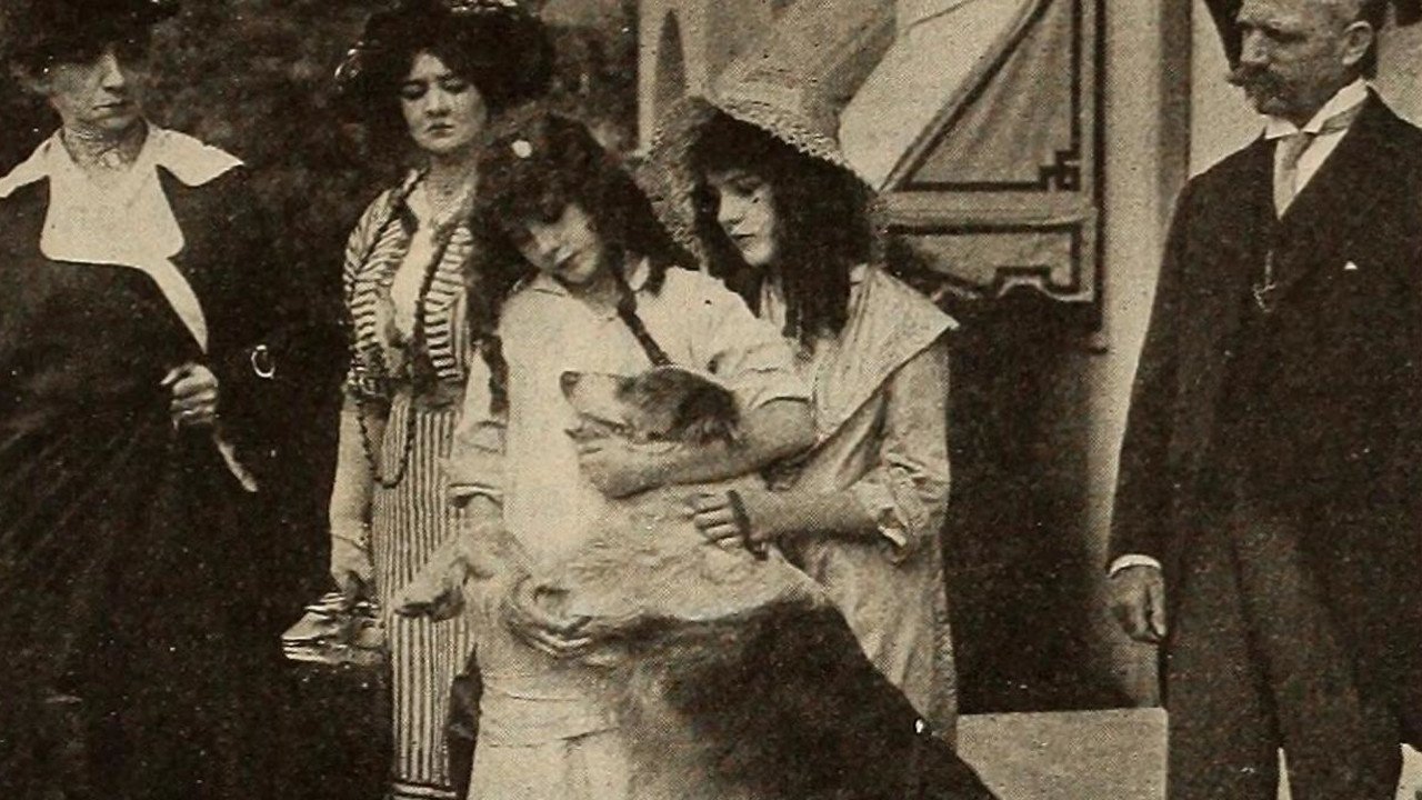 Shep's Race with Death backdrop