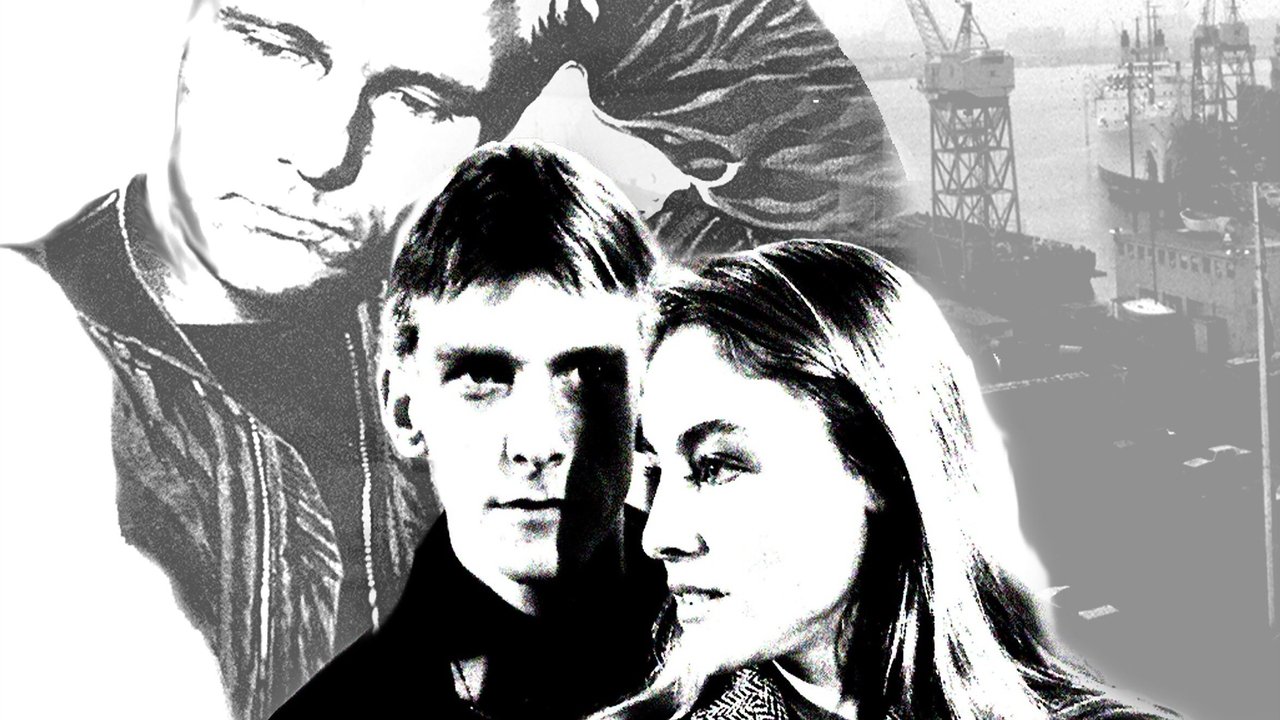 The Tender Age backdrop