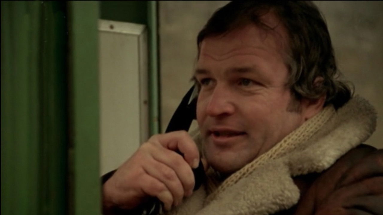 A Happy New Year! backdrop