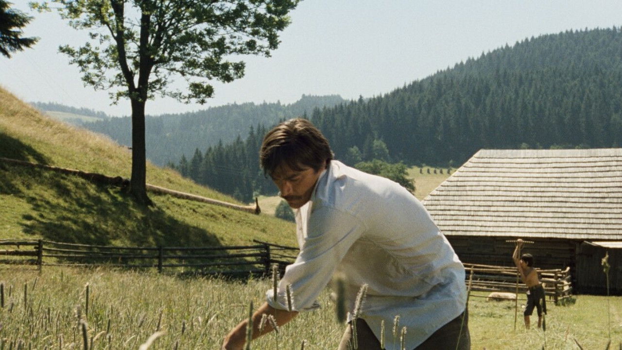 Shadows of a Hot Summer backdrop