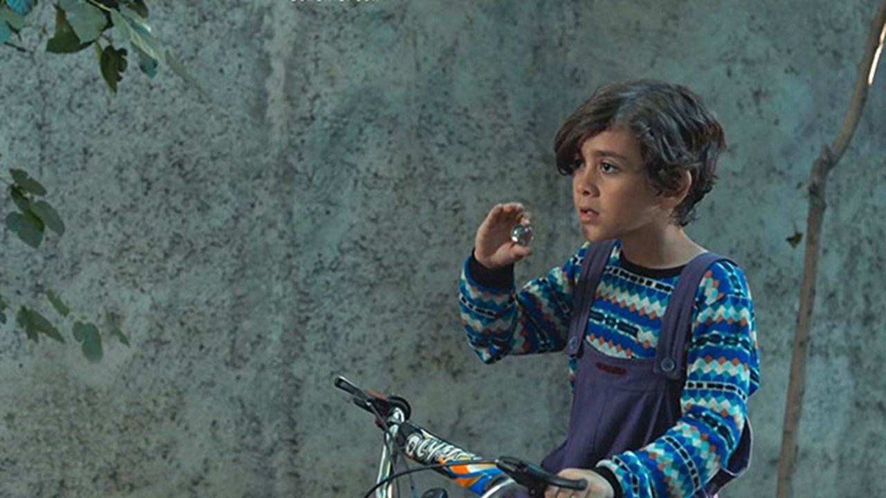 Land of The Dead Deer backdrop