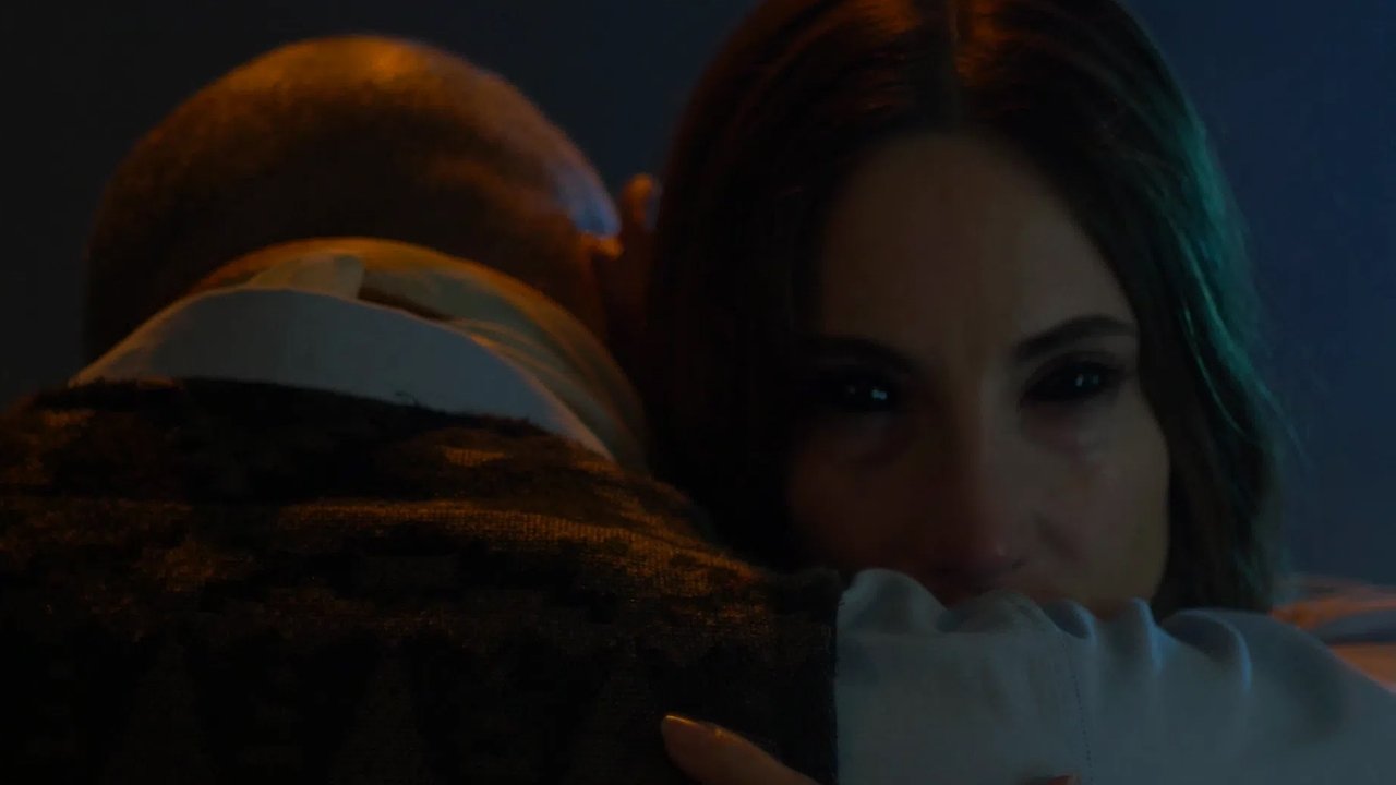 The Shape of the Woods backdrop