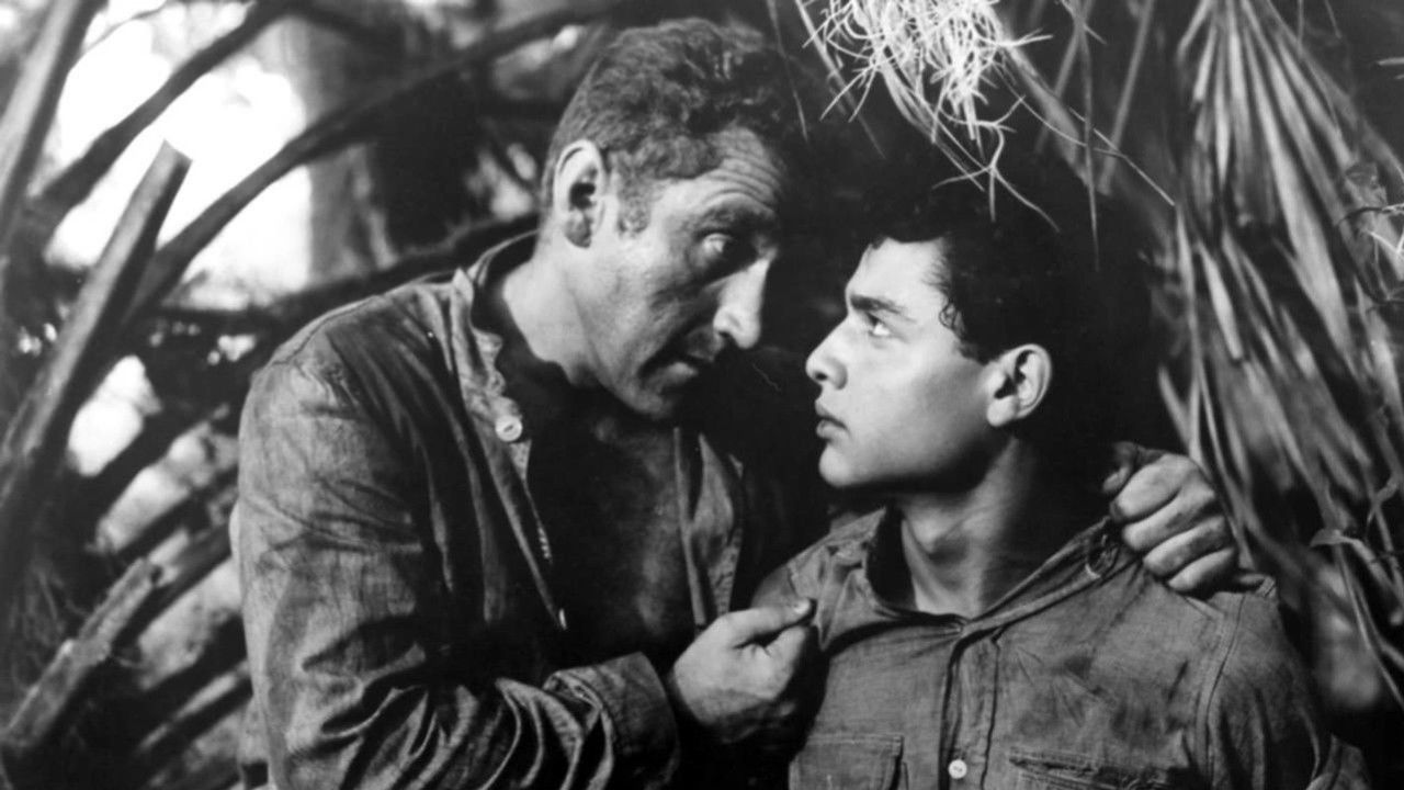 The Young Don't Cry backdrop