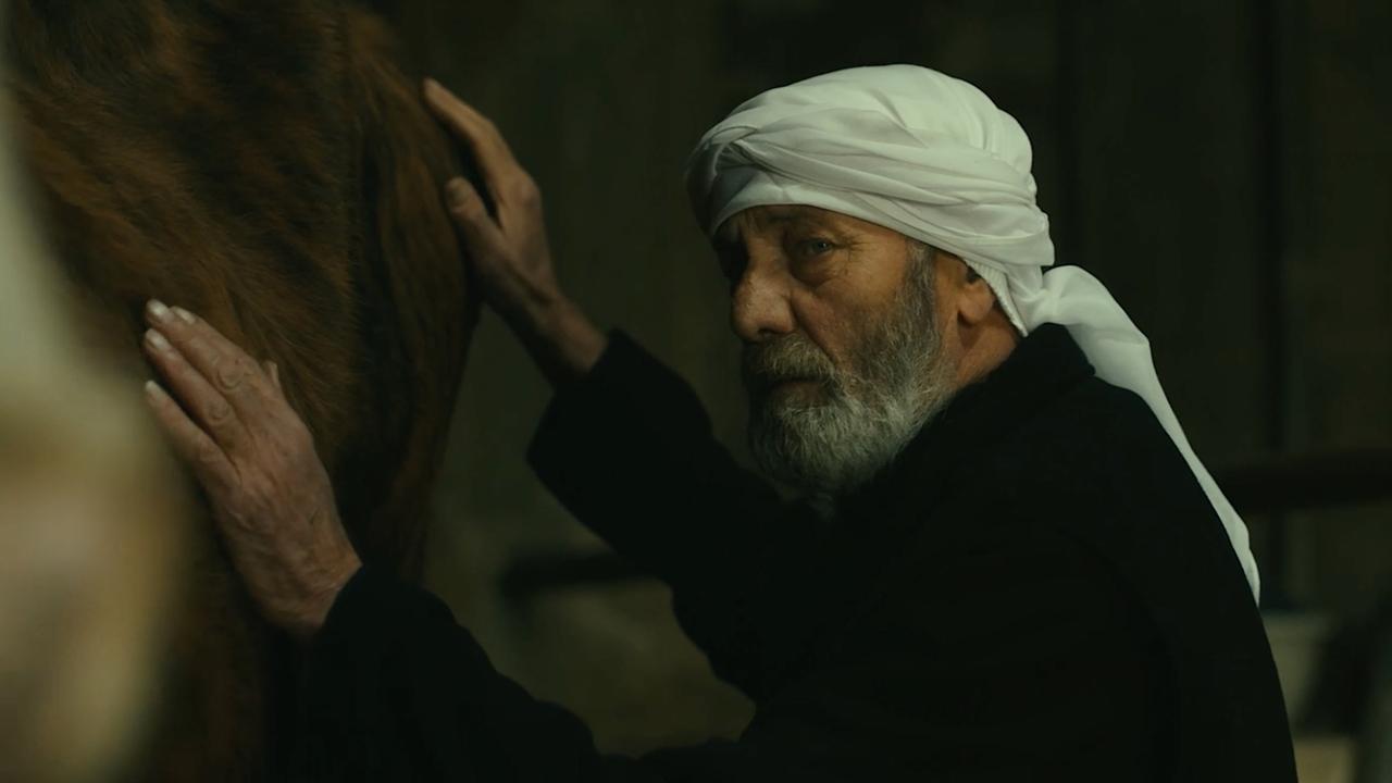 The Stranger backdrop