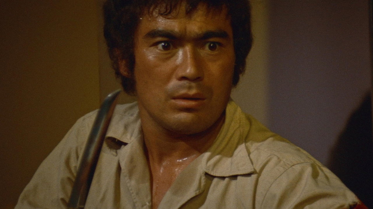 Karate Bullfighter backdrop