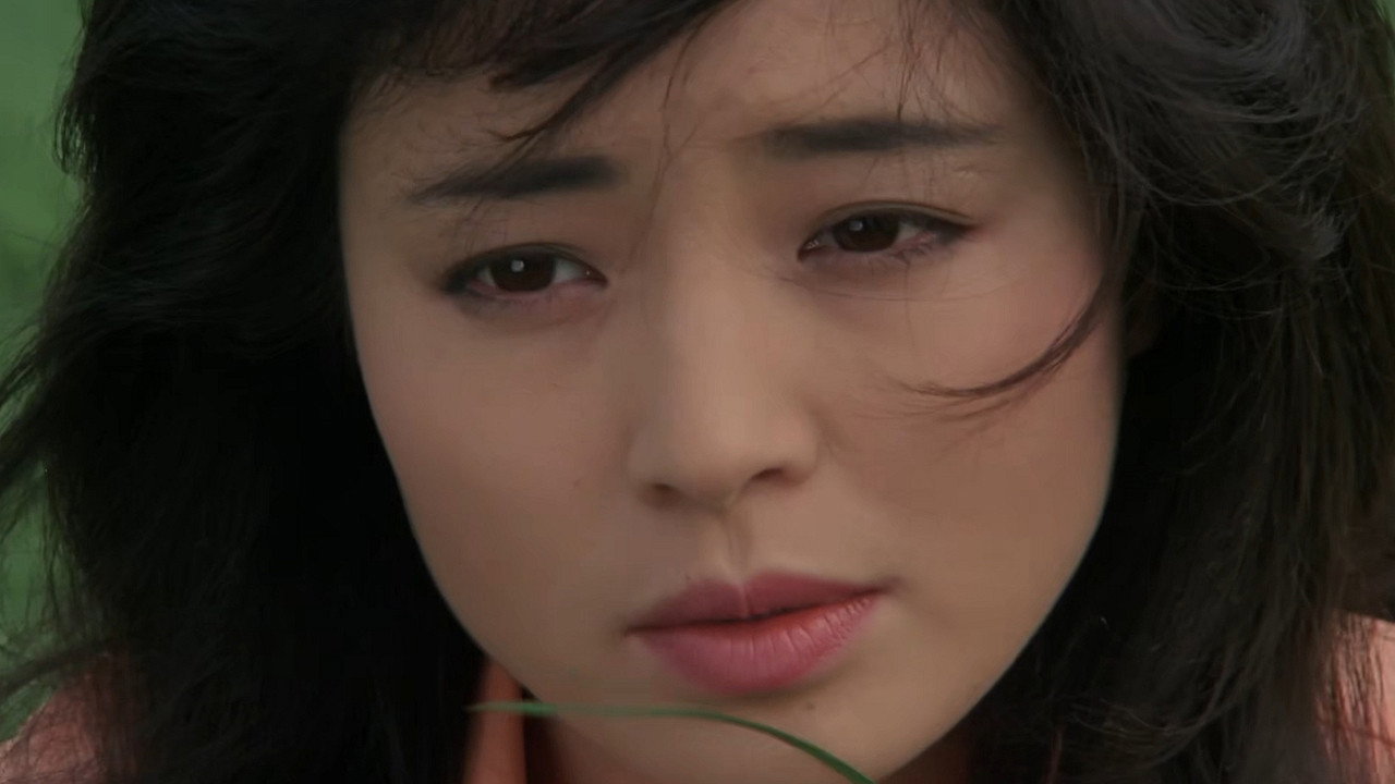 A Bird Flying At Dawn backdrop