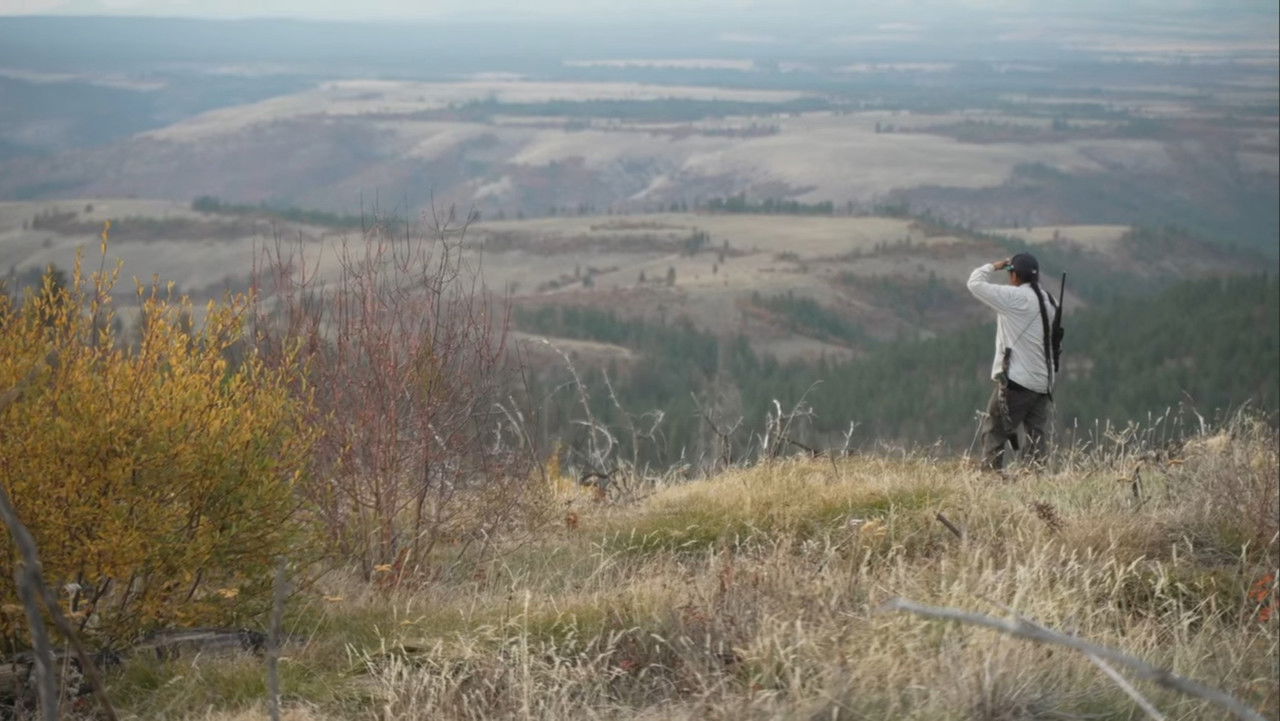 These Sacred Hills backdrop
