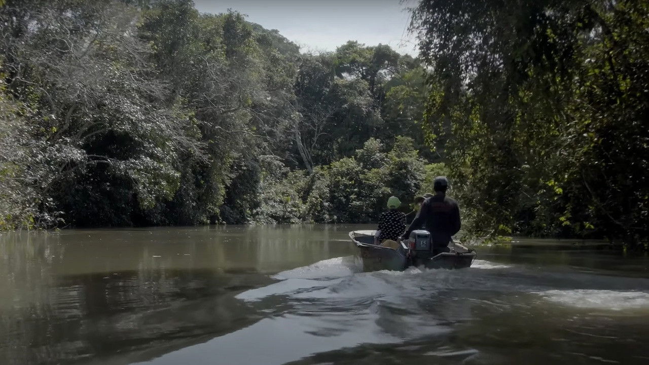 Manos que Dan Vida backdrop