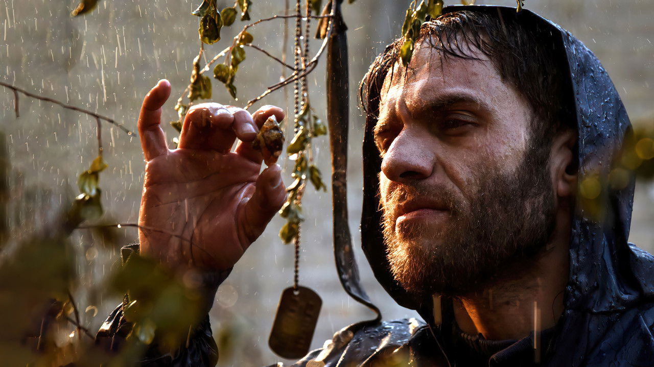 Cypress Under Water backdrop