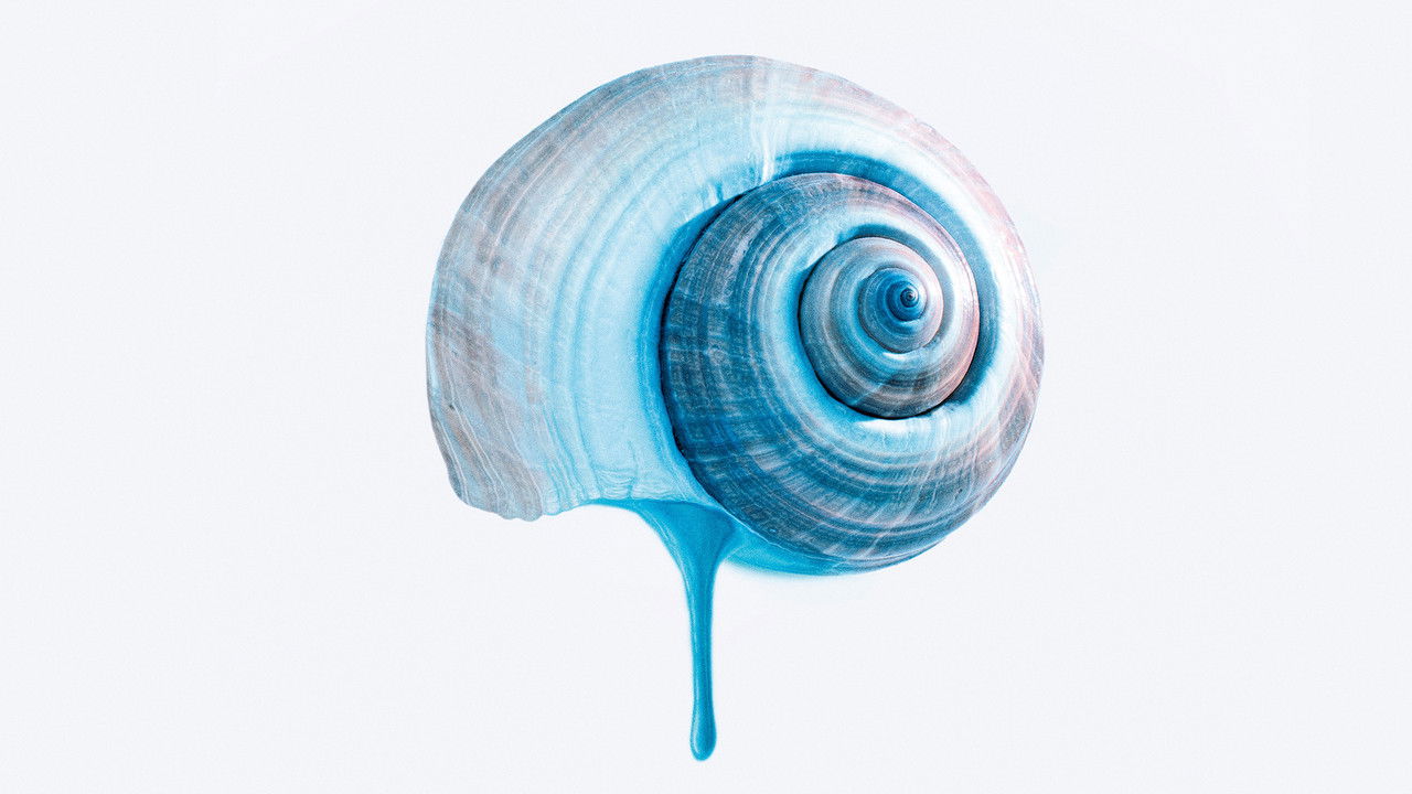 The Blue Trail backdrop