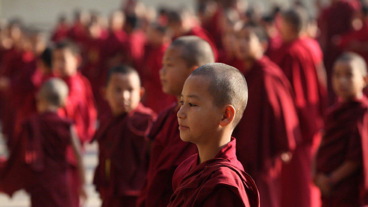 Saffron Heart backdrop